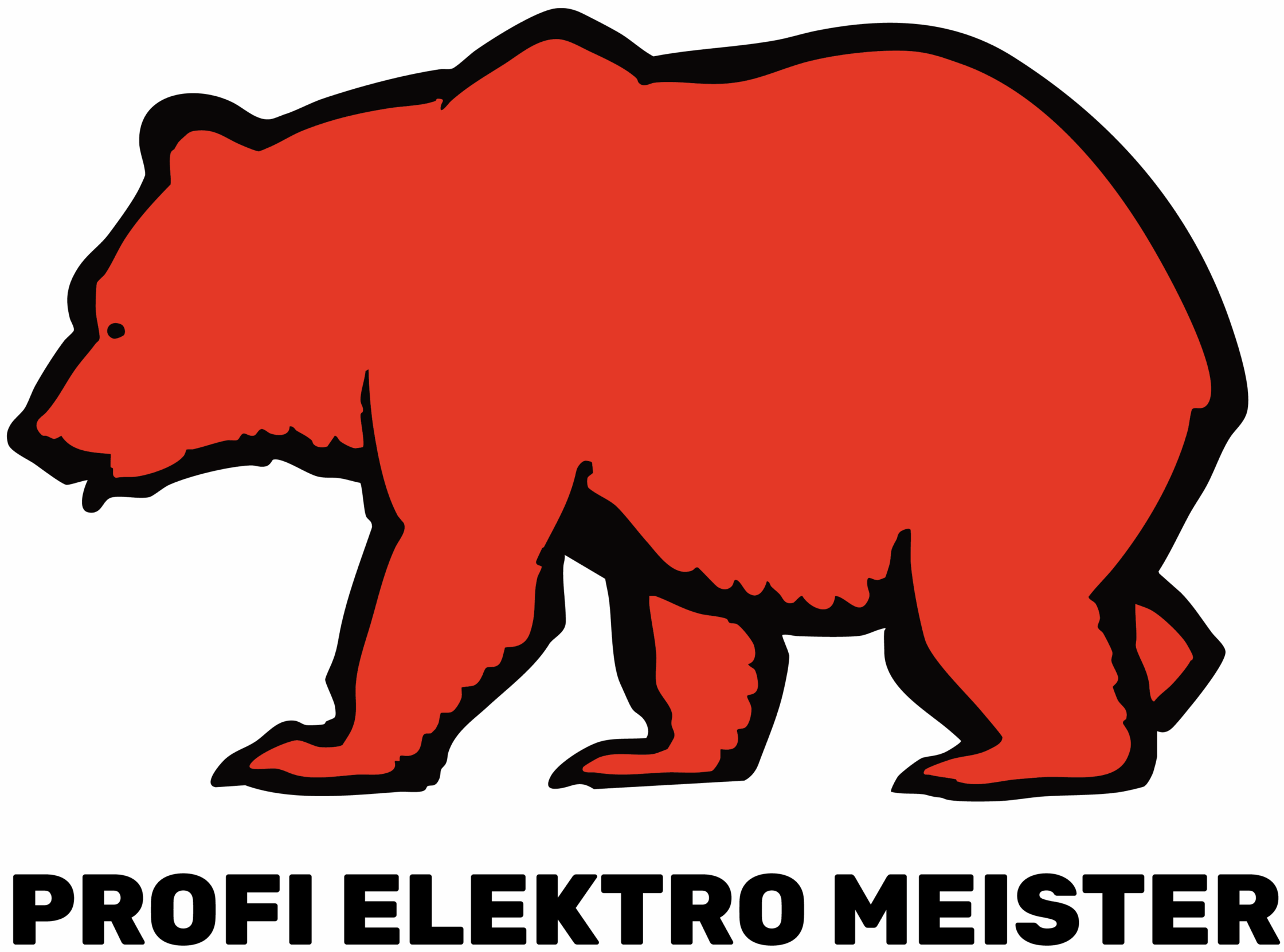 Profi Elektro Meister